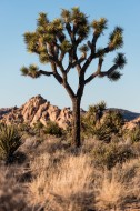 Meet the Camper Vacation, Arizona-USA -06. Januar 2019-69