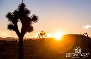 Meet the Camper Vacation, Arizona-USA -06. Januar 2019-77